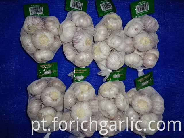 Export Standard New Garlic